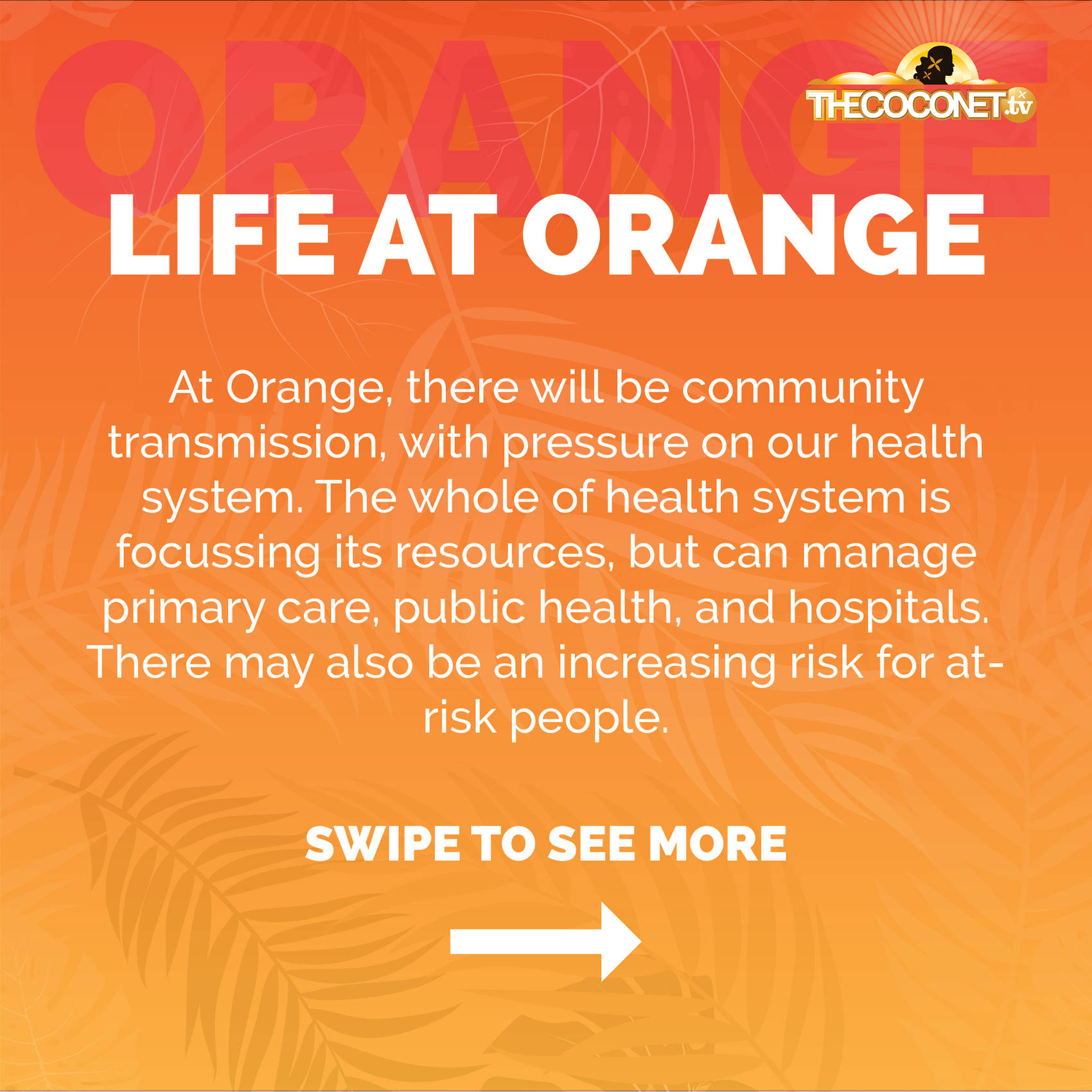 Covid19 Protection Framework aka Traffic Lights — The world’s largest hub of